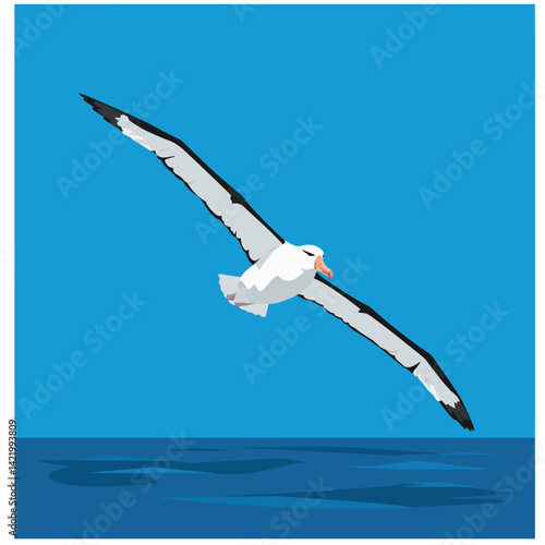 Albatross bird flying over ocean with blue sky background in minimalist vector style illustration 