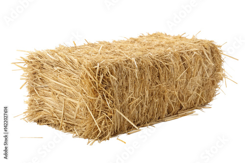 Bale of straw resting on a clean surface highlighting rural farming produce and agricultural practices