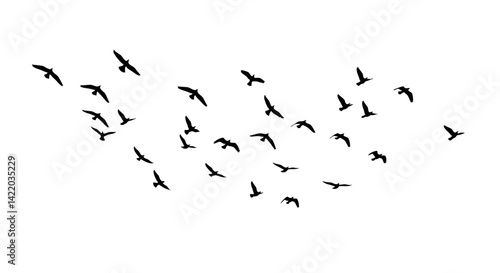 Flying birds silhouettes pattern wallpaper. Vector illustration. isolated bird flying. tattoo design. template for card, package, and wallpaper.