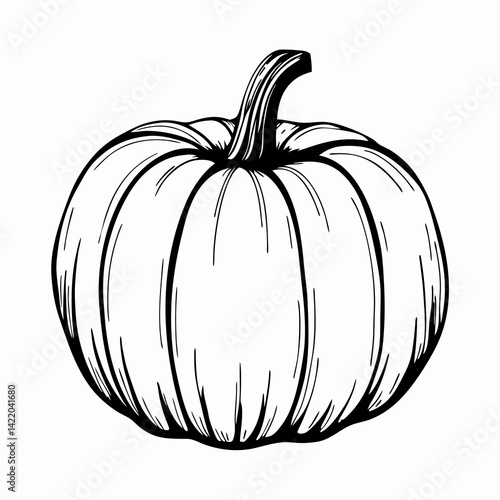 Illustration of a pumpkin in a detailed sketch style representing autumn harvest and Halloween celebrations.