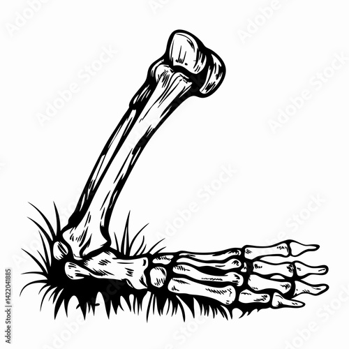 Stylized skeletal arm emerging from grass, symbolizing life and death, graphic representation often used in Halloween or gothic themes.