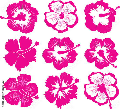 Hibiscus Flower, Summer Time, Beach, Vacation Trip