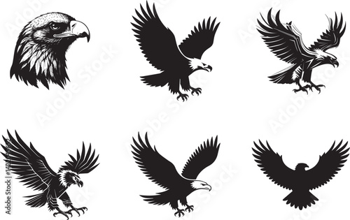 Eagle Silhouettes Set Vector Illustration
