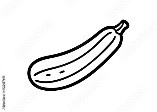 Iconic of vegetables in season in summer. Zucchini