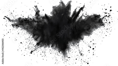 Black opwder burst explosion splash isolated on transparent white background. Vector holi colors. Vector black ink powder explosion isolated on white background. 