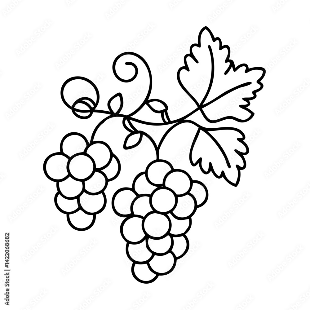 Fototapeta premium grapevine icon, grapevine line art - simple line art of grapevine, perfect for grapevine logos and icons