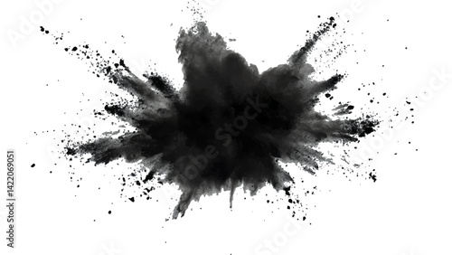Black opwder burst explosion splash isolated on transparent white background. Vector holi colors. Vector black ink powder explosion isolated on white background. 
