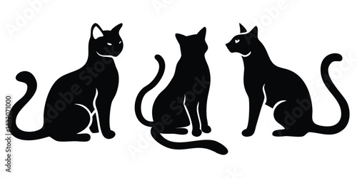 black and white cats