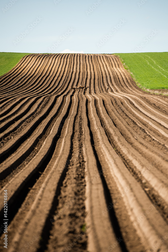 colorful countryside farmland in springtime
