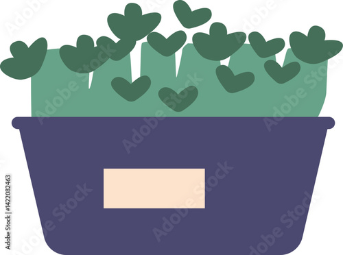 Arugula microgreens growing in pack
