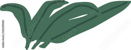 Green spinach leaves vector illustration
