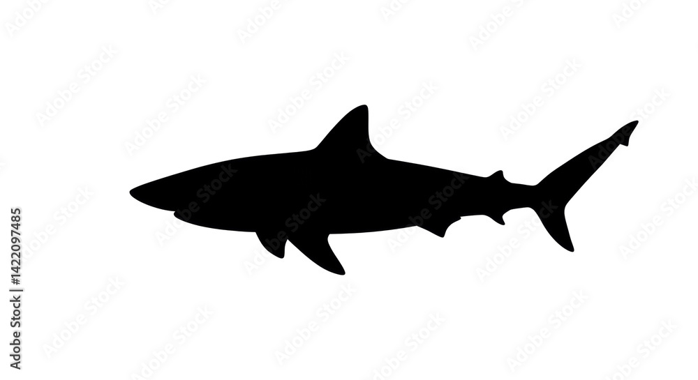 Fototapeta premium Silhouette Shark Outline