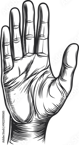 Detailed black and white sketch of an open hand with shading, conceptual art. Vector illustration