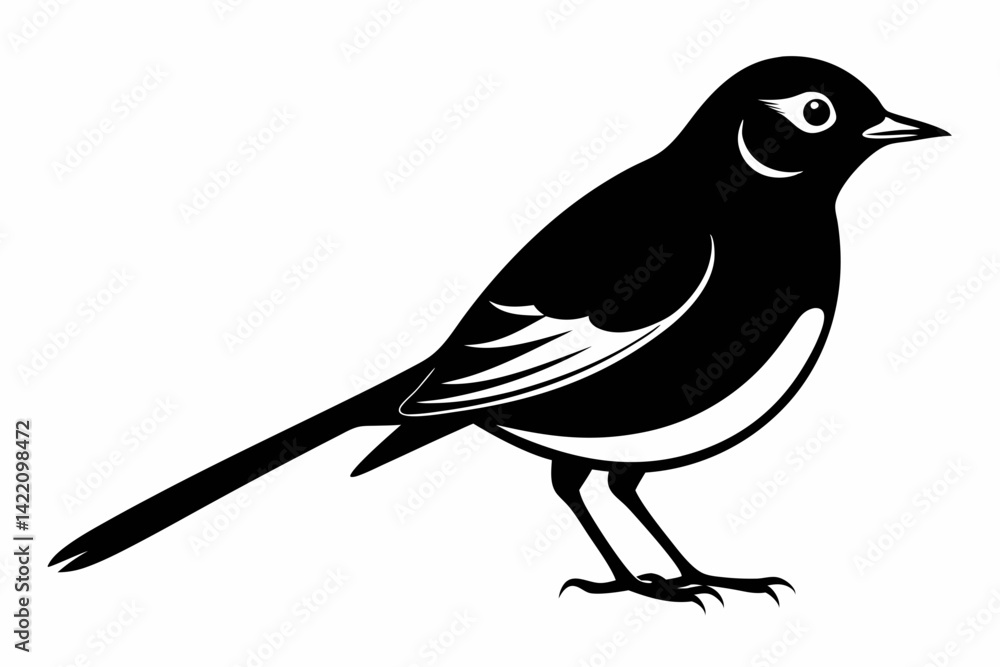 Wagtail silhouette black vector Wagtail silhouette black vector