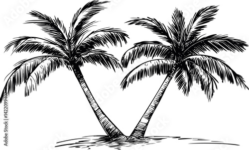Black and white sketch of two coconut palm trees on a sandy beach. Vector illustration