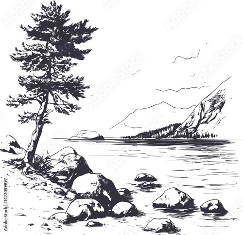 Black and white landscape with a tree and rocks by a calm lake, nature drawing. Vector illustration