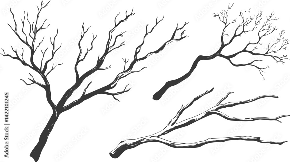 Obraz premium Silhouette of three bare tree branches against a plain. Vector illustration