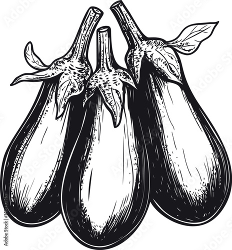 Hand-drawn illustration of three eggplants with leaves. Vector illustration