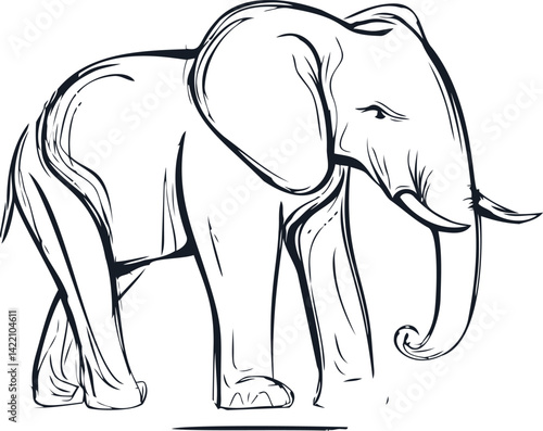 Black and white line drawing of an elephant in a walking pose with elegant curves. Vector illustration