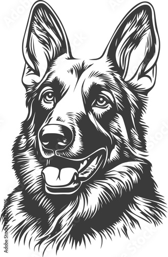 Illustration of a german shepherd dog in black and white, loyal pet concept. Vector illustration