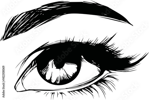 Detailed black and white illustration of a human eye with lashes. Vector illustration