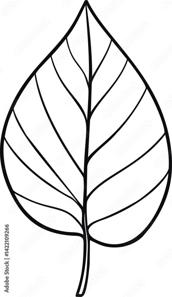 Fototapeta premium Outline drawing of a single leaf with visible veins. Vector illustration