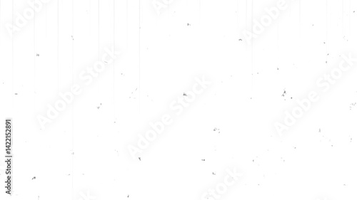 フィルムノイズとスクラッチのビンテージ効果
