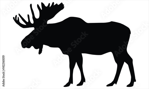 Moos silhouette vector