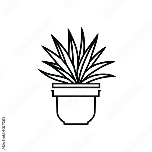 Monochrome Potted Succulent Line Drawing  