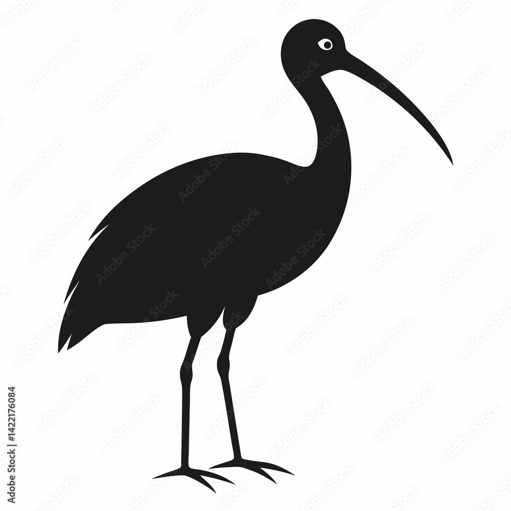 Obraz premium Ibis silhouette vector isolated on white background