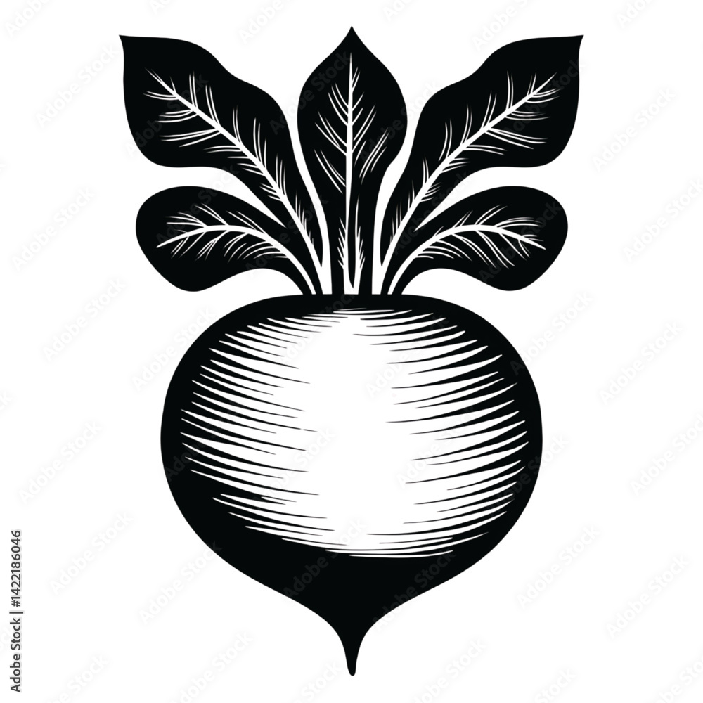 Black and White Radish Illustration with Detailed Leaves