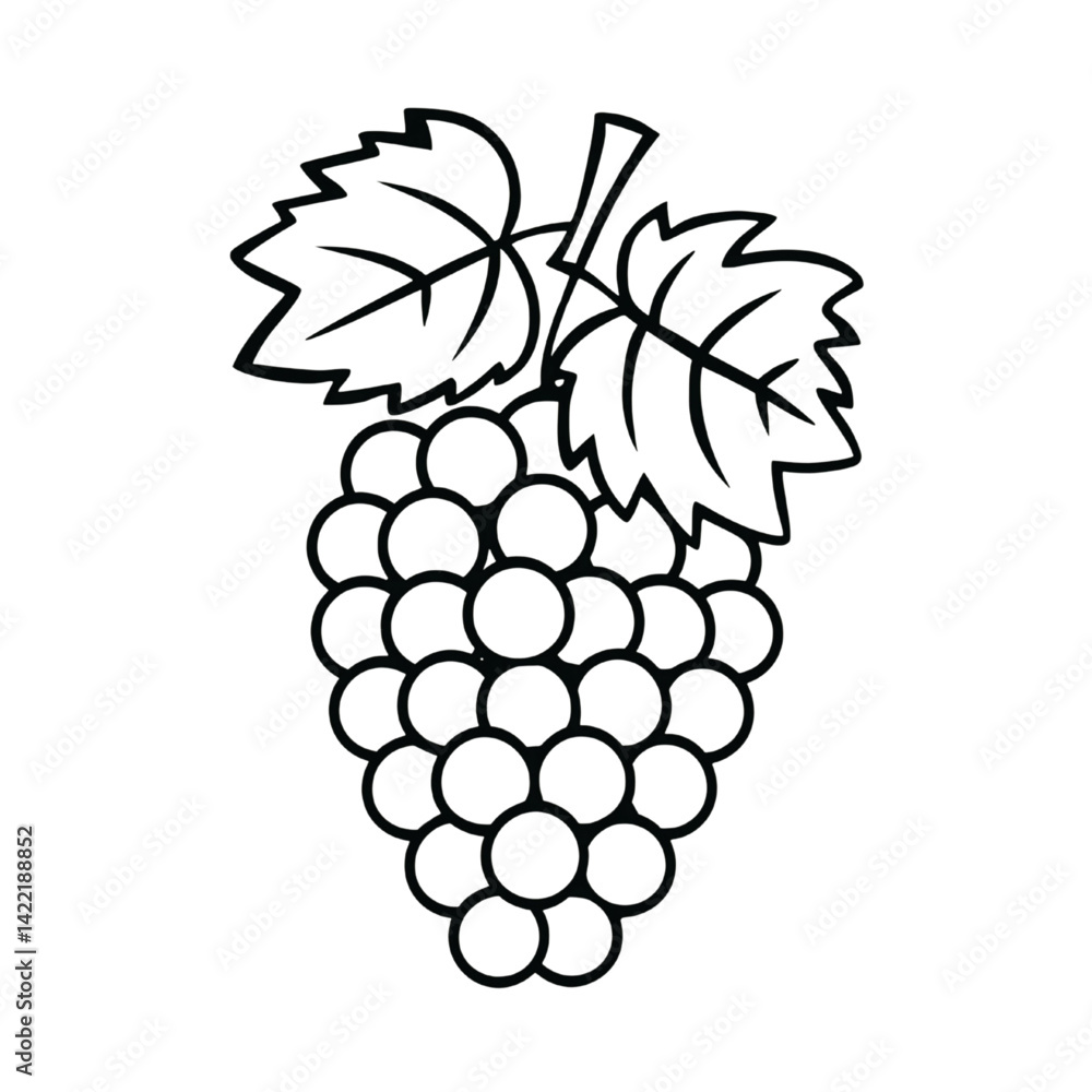 Black and White Grape Cluster Drawing with Veined Leaves
