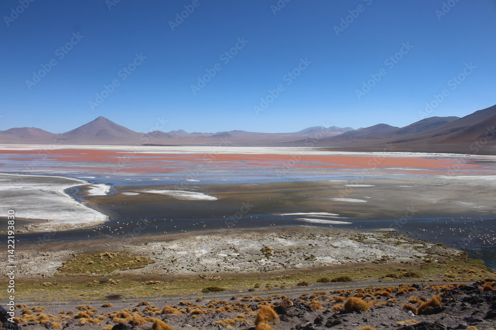 Lagoons, volcanoes and geysers in the Uyuni desert
Lagoons, volcanoes and geysers in the Uyuni desert