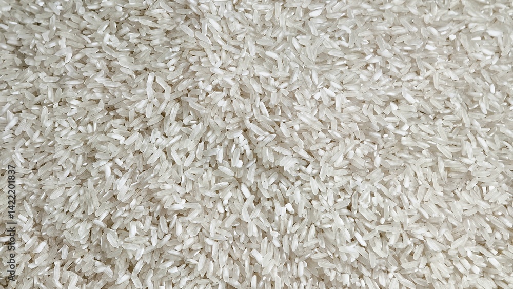 Close up of uncooked white rice grains in full frame shot Close up of uncooked white rice grains in full frame shot
