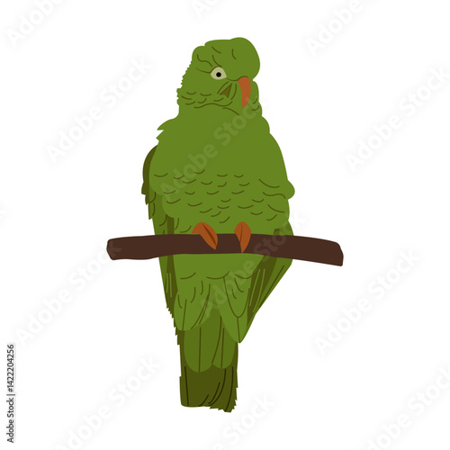 Green budgie on brown branch isolated on white or transparent background. Vector illustration. Tropical birds. Close-up element for design decoration.