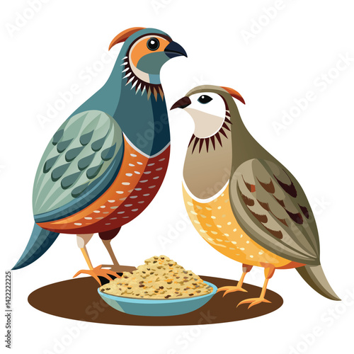 Quail birds eating feed shilhotee vector isolated on white background 