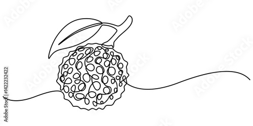 Continuous one single minimal line drawing lychee, Single one line drawing peeled healthy organic lychee for orchard logo identity. Fresh tropical fruitage concept for fruit garden icon. Modern style.