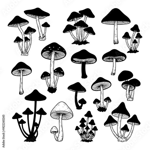 A collection of various black and white mushrooms in different sizes and arrangements illustration set