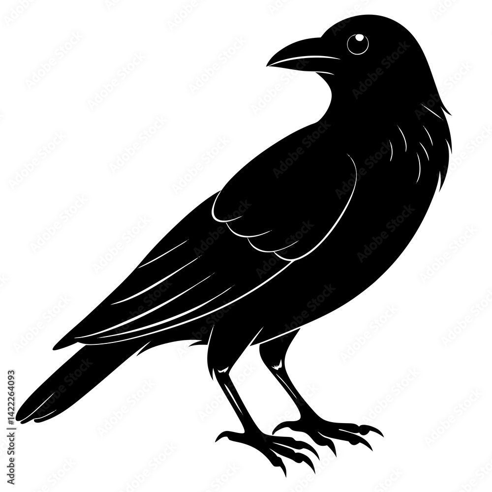 Fototapeta premium crow on a branch