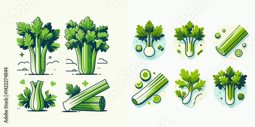 vector collection of fresh and delicious celery vegetables