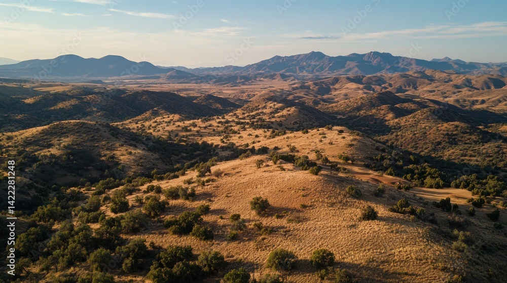 Obraz premium Serene Arizona Landscape: Golden Hills and Distant Mountains