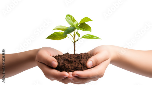 Hands holding soil with a small plant growing out on a black background isolated on transparent background