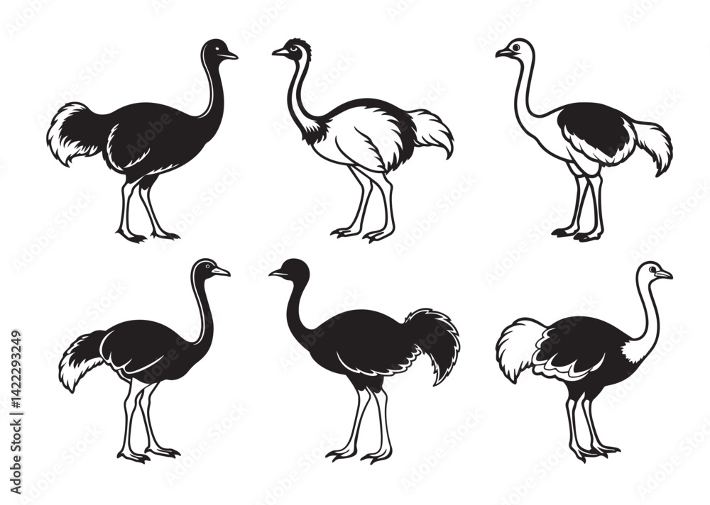 Fototapeta premium Ostrich silhouette vector Set