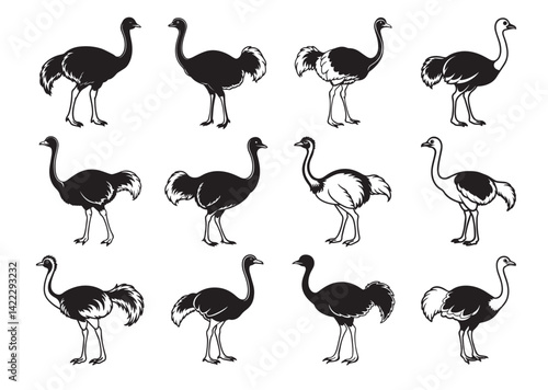 Ostrich silhouette vector Set