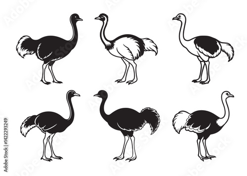 Ostrich silhouette vector Set