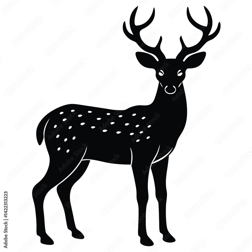 Fototapeta premium deer