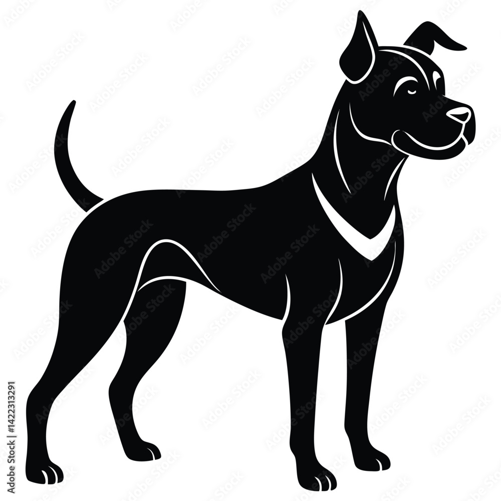 dog dog