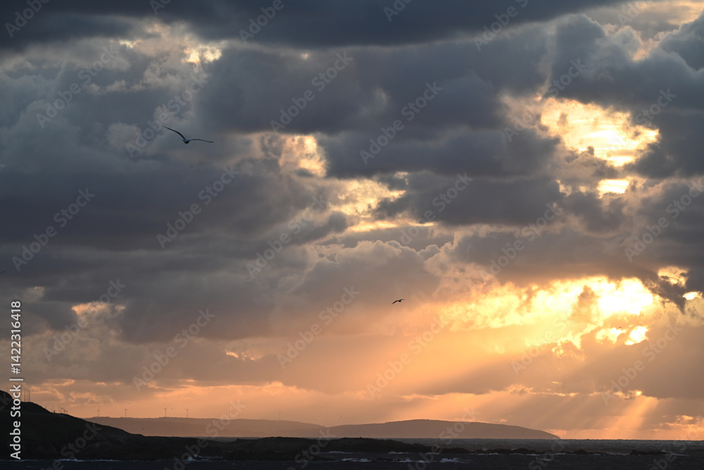 Naklejka premium Spectacular cloudy sky over the seashore at sunset