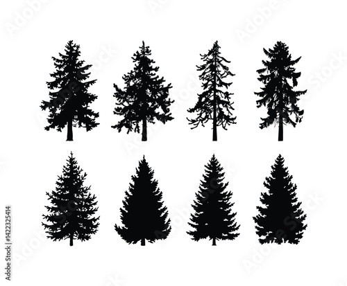 Cedar Tree Silhouette Vector Collection on a White Background