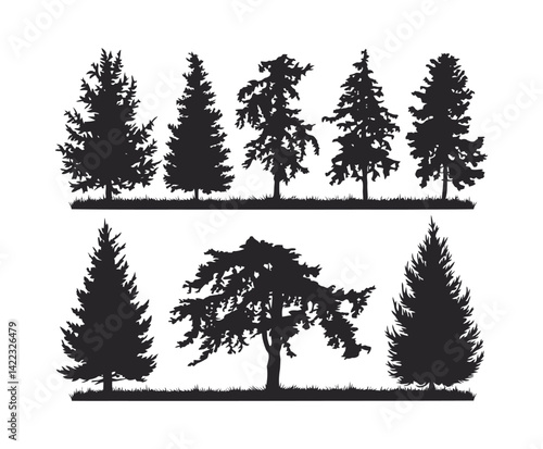Cedar Tree Silhouette Vector Template with White Background